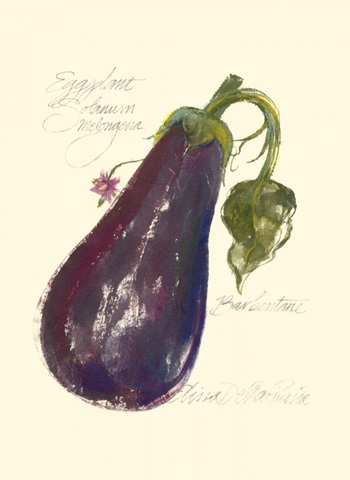 Eggplant Solanum Melongena