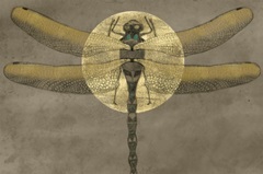 Full Moon Serenade I