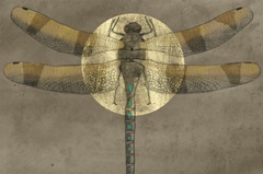 Full Moon Serenade II