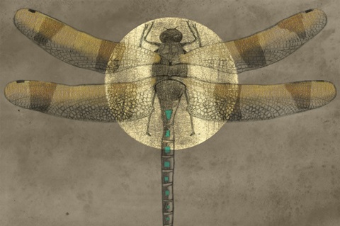 Full Moon Serenade II