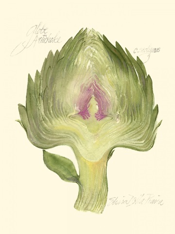 Globe Artichoke