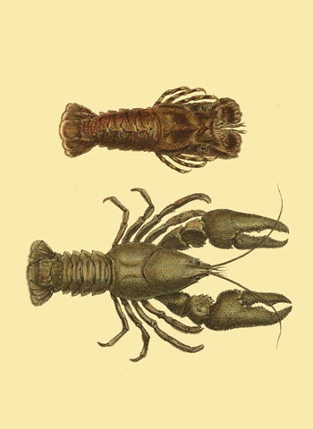 Antique Lobster III