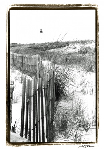 Cape May Lighthouse II
