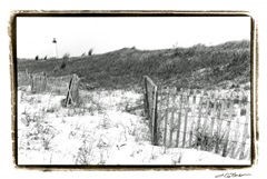 Cape May Lighthouse III