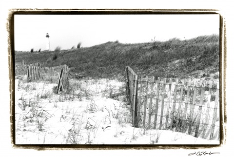 Cape May Lighthouse III