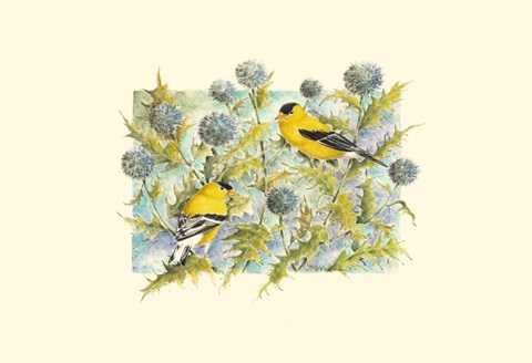 Goldfinches