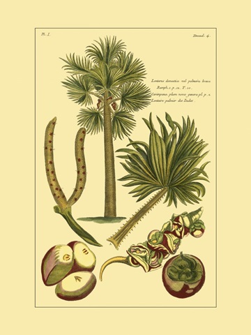 Printed Exotic Palm I