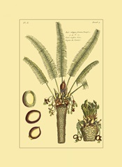 Printed Exotic Palm III