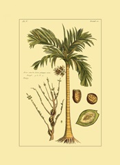 Printed Exotic Palm V