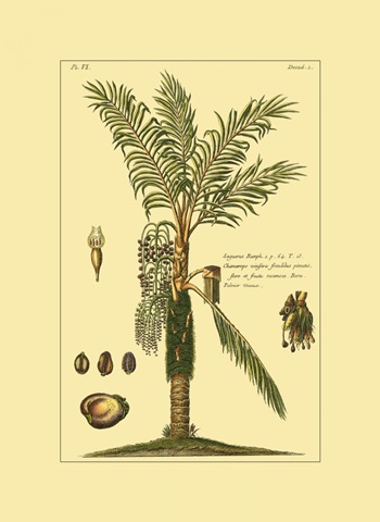 Printed Exotic Palm VI