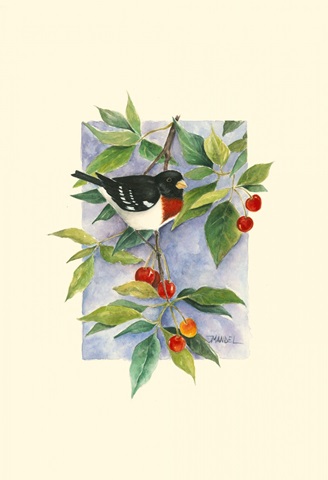 Red-Breasted Grosbeak