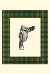 Saddle and Plaid II