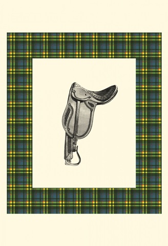 Saddle and Plaid II