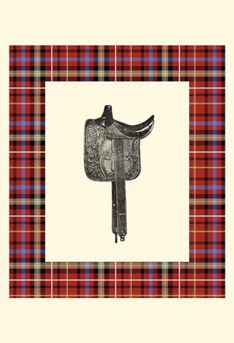 Saddle and Plaid III