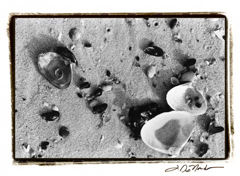 Sand Treasures I