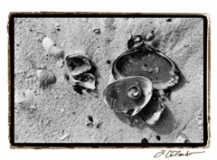 Sand Treasures II