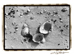 Sand Treasures IV