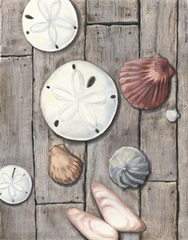 Seashore Treasure I