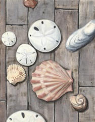 Seashore Treasure II