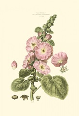 Small Blushing Pink Florals V