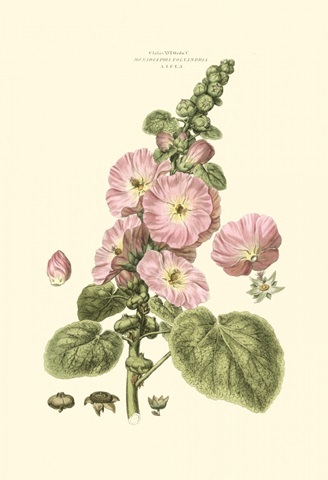 Small Blushing Pink Florals V