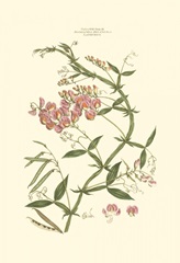 Small Blushing Pink Florals VI