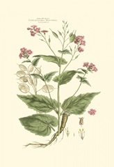 Small Blushing Pink Florals VII