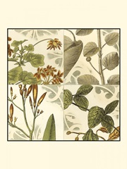 Small Botanical Quadrant I