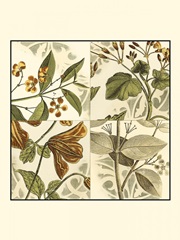 Small Botanical Quadrant II