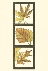 Small Fall Leaves I