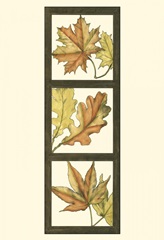 Small Fall Leaves II