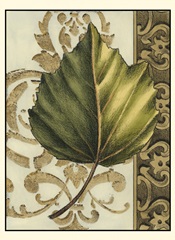 Small Leaf Assortment II