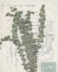 Small Postcard Wildflowers III