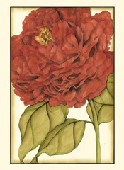 Small Ruby Blooms II