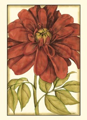 Small Ruby Blooms III