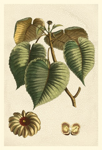 Small Seasonal Foliage I