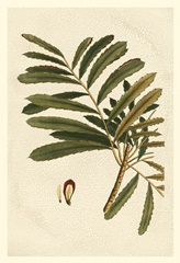Small Seasonal Foliage II