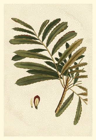 Small Seasonal Foliage II