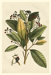 Small Seasonal Foliage IV