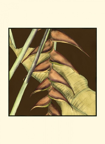 Small Striking Tropical III