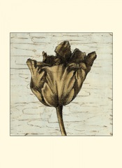 Small Tulip Impressions I