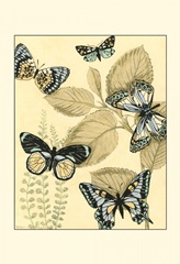 Spa Butterflies in Nature I