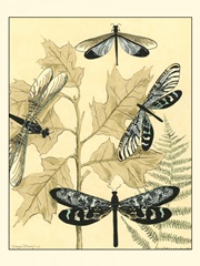 Spa Dragonflies in Nature I