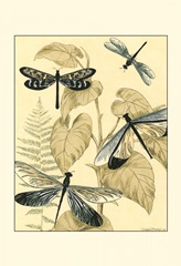 Spa Dragonflies in Nature II