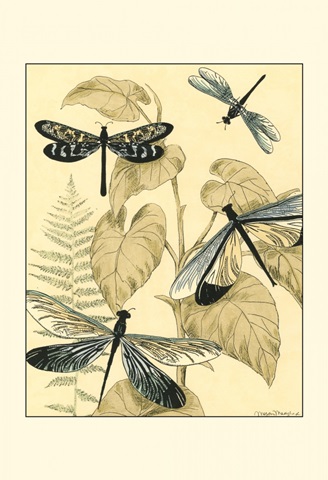 Spa Dragonflies in Nature II