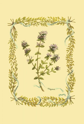 Thyme