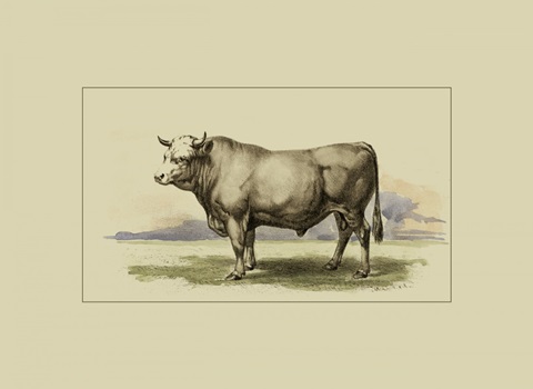 Antique Cow I