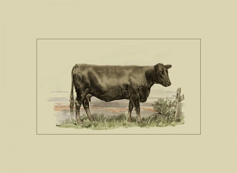 Antique Cow II