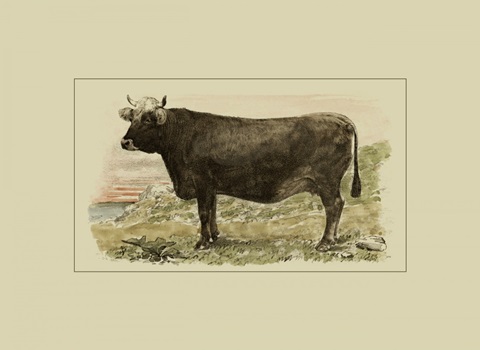 Antique Cow V