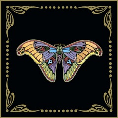 Cloisonne Butterfly